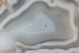 Polished Banded Agate with Wegeler Effect - Aouli, Morocco #187148-1